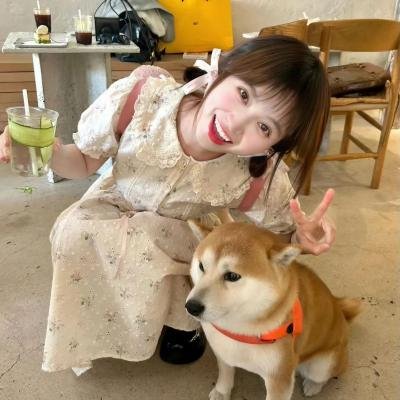 神奇飞书