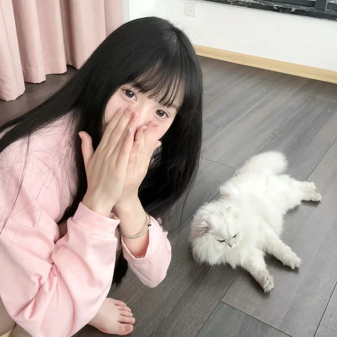 大象家族